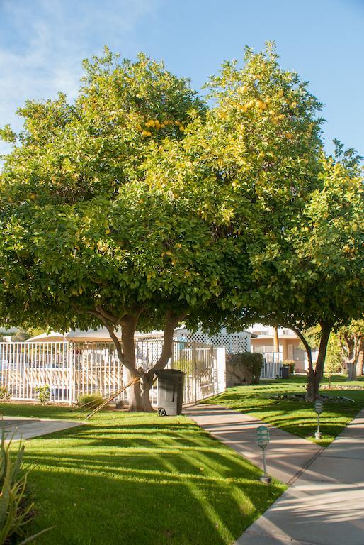 Tuscany Manor Palm Springs Bagian luar foto